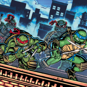 TMNT #300 SDCC 2026 Exclusive Variant- set of 4 Turtles.